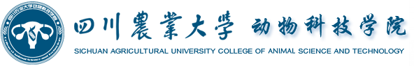 国际足联世界杯